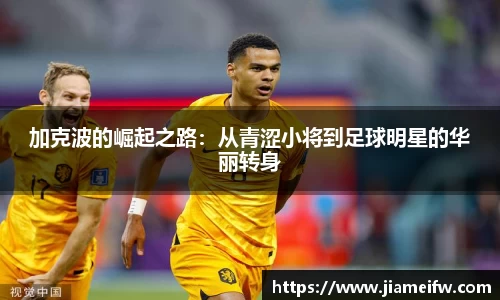 55世纪官网